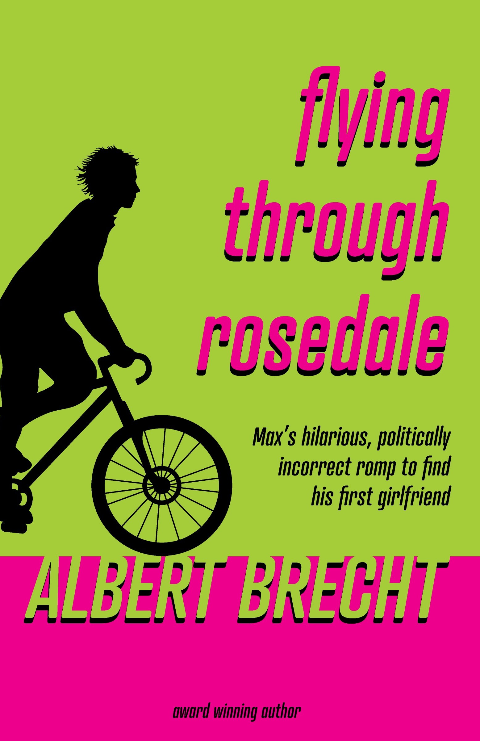 The cover of Flying Through Rosedale.