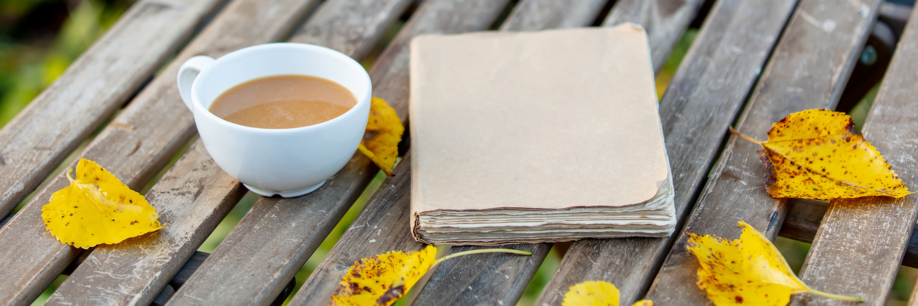 A cup of coffee sits next to a notebook on a picnic table with yellow leaves.