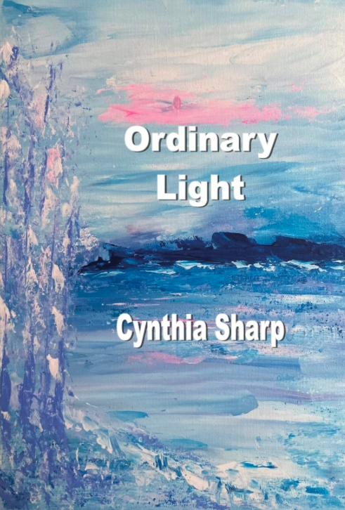 The cover of Ordinary Light.