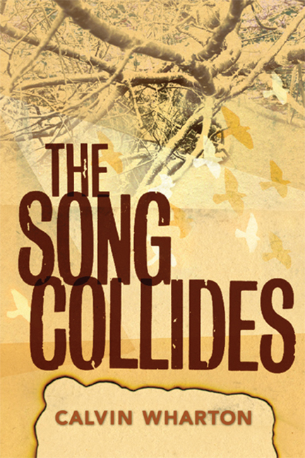 The cover of The Song Collides.